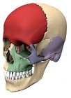 IH01: Anatomy and Physiology
